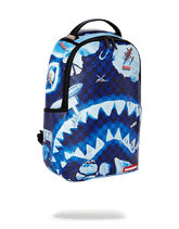 NORTH SHARK